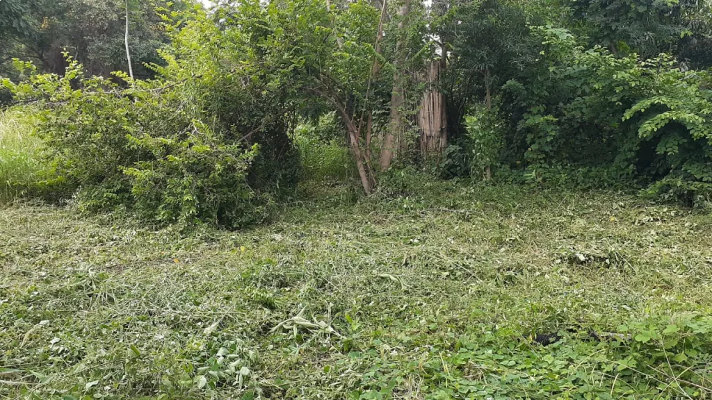 Vendo terreno en Ypané - (Colonia Thompson) — foto 2