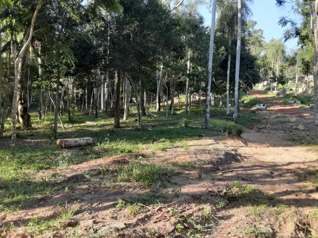 VENDO TERRENO CON ACCESO A UN ARROYO. — foto 2