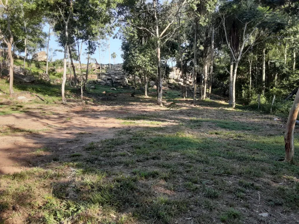 VENDO TERRENO CON ACCESO A UN ARROYO. — foto 3