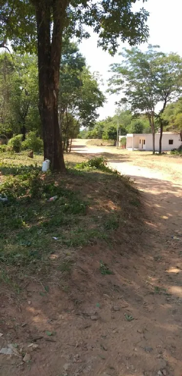 Terreno de 972 m2 oferta — foto 2