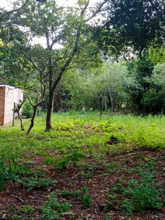 Vendo esta propiedad — foto 2