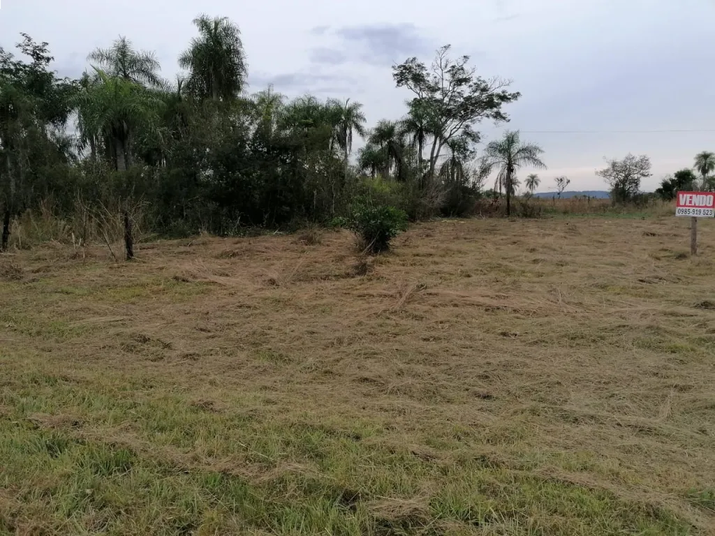 Hermosos lotes en Caacupé, a pasos de la ruta a Tobati y de arroyo — foto 2