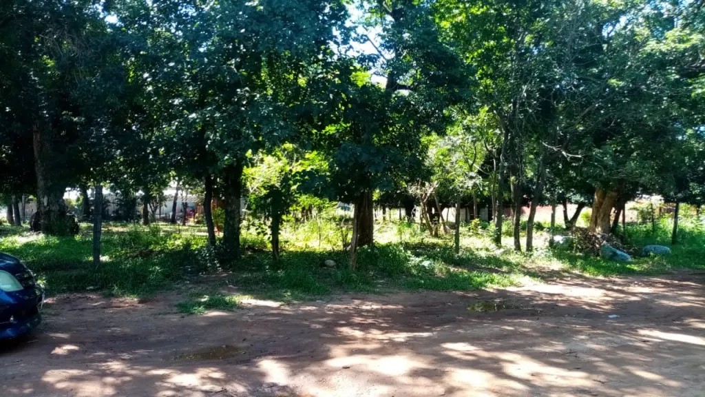 VENDO TERRENO EN LUQUE COD 3614 — foto 2