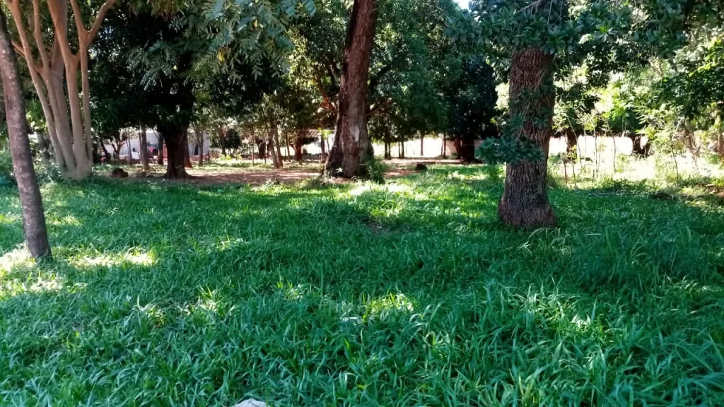 VENDO TERRENO EN LUQUE COD 3614 — foto 3