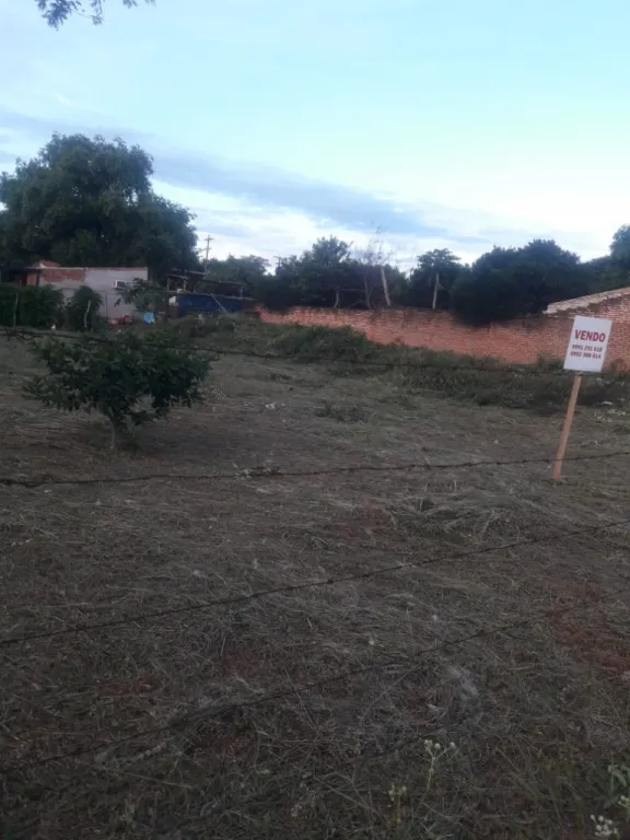 VENDO TERRENO EN THOMSON - YPANE DIMENSION 20X30 MTS.( 600 mt2) — foto 2
