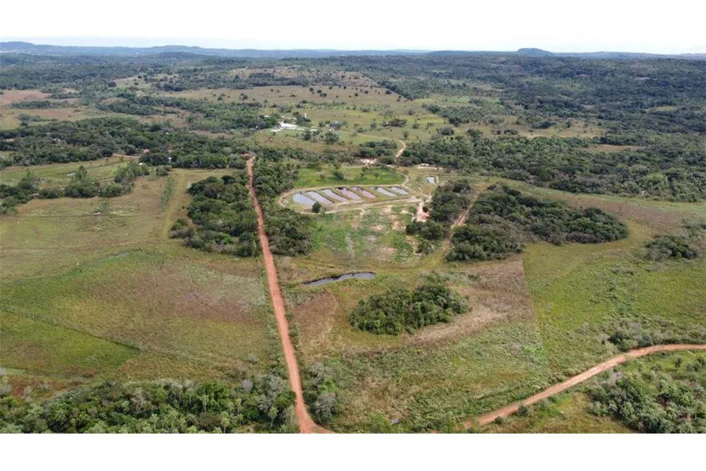 Granja de Lujo en Venta — foto 3