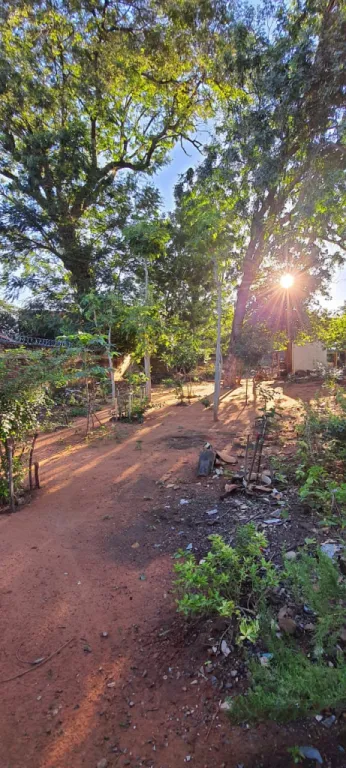 HERMOSO TERRENO DE 439 M2 SOBRE A AVDA BRUNO GUGGIARI — foto 2