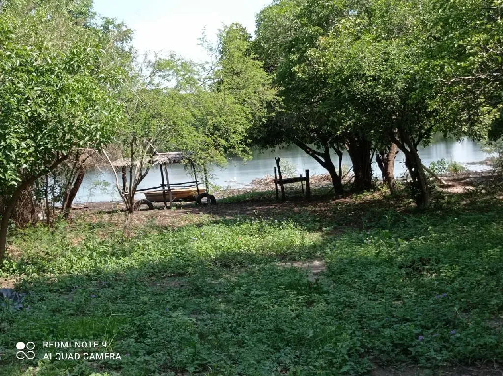 Vendo 13 x 204 m2 — foto 2