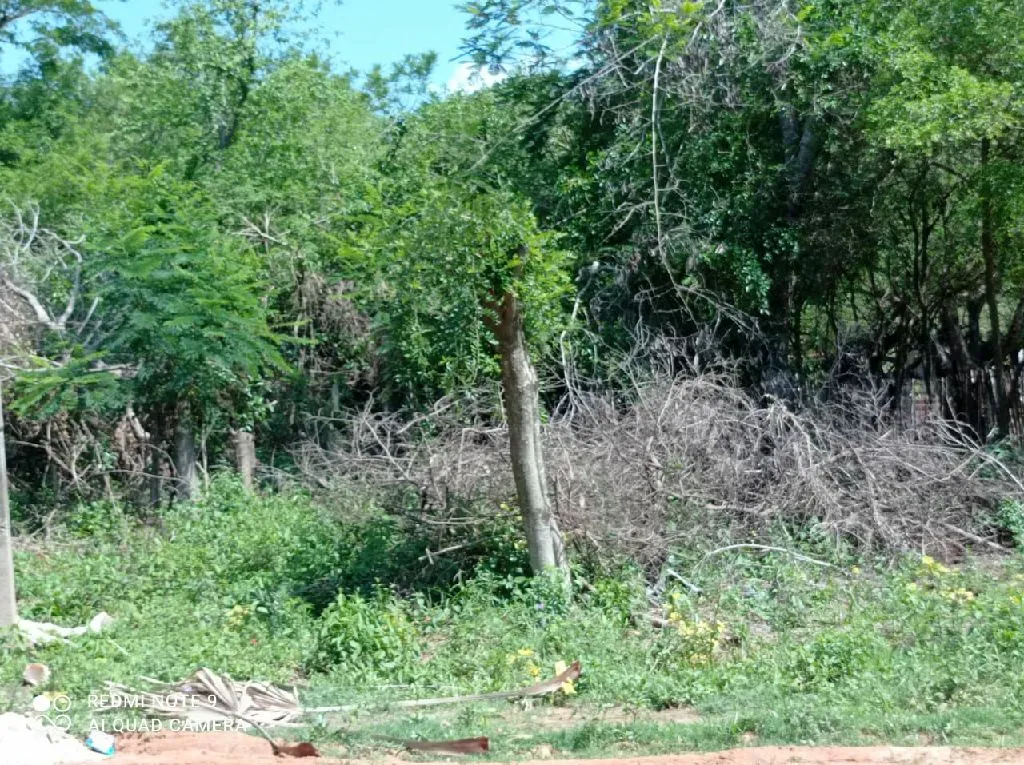 Vendo una propiedad de 15 x 115 — foto 3
