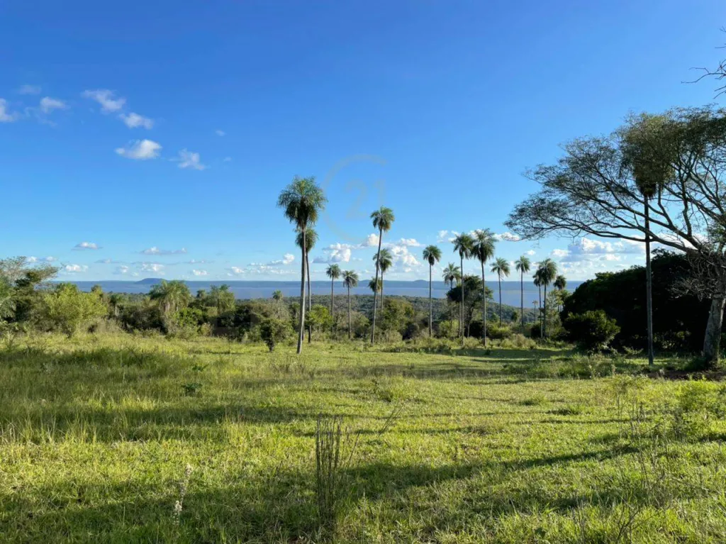 Vendo Terreno en el Distrito de Ciervo Cuá — foto 2
