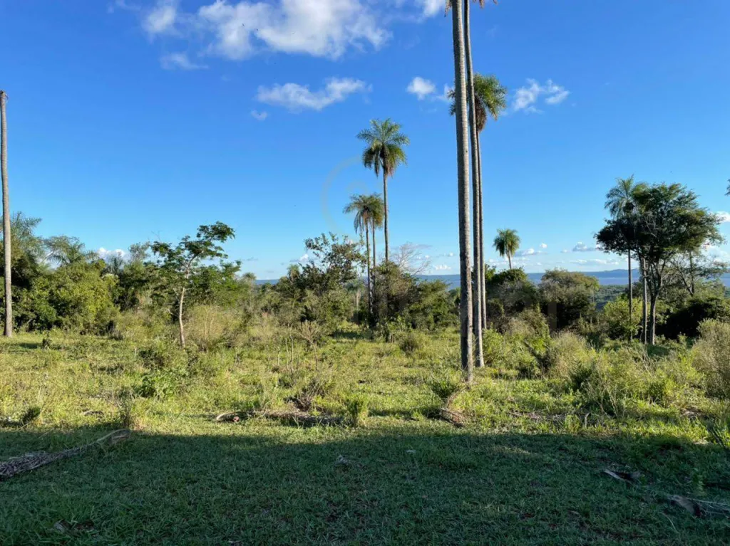 Vendo Terreno en el Distrito de Ciervo Cuá — foto 3