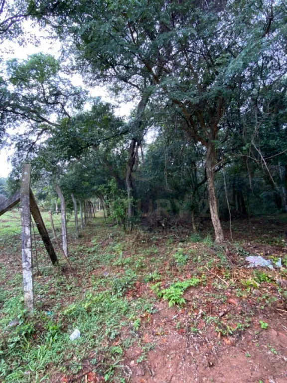 VENDO TERRENO DE 1 HECTAREA EN SAN BERNARDINO - Imperdible Oportunidad. — foto 3