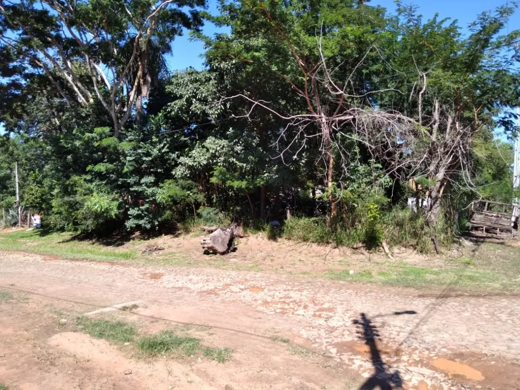 VENDO TERRENO LAMBARE — foto 2