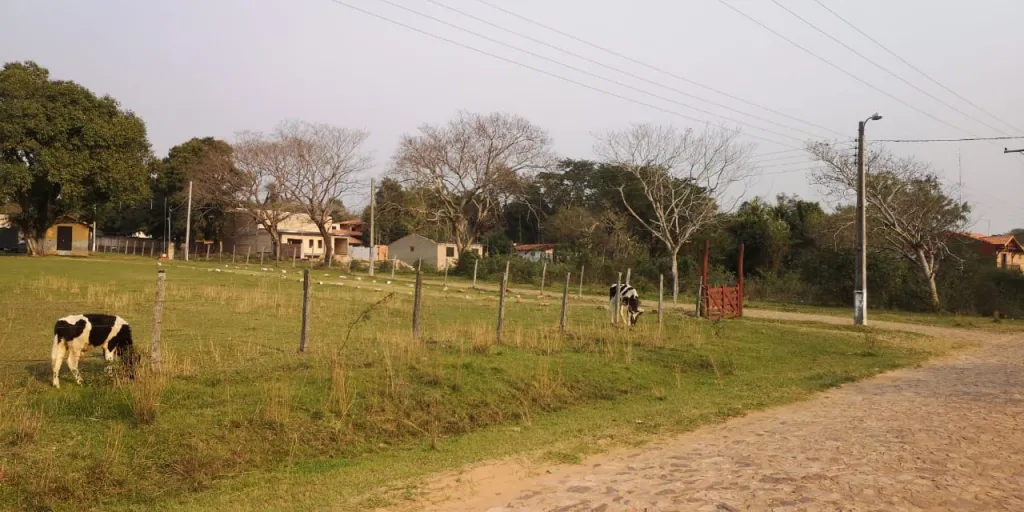 TERRENO AMPLIO EN ZARATE ISLA. ESPECIAL PARA EMPRENDIMIENTOS. — foto 2