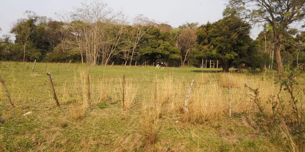 TERRENO AMPLIO EN ZARATE ISLA. ESPECIAL PARA EMPRENDIMIENTOS. — foto 3