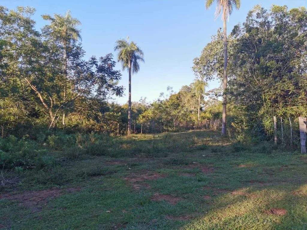 VENDOS DOS TERRRENOS JUNTOS EN EL CENTRO DE NUEVA COLOMBIA! — foto 3