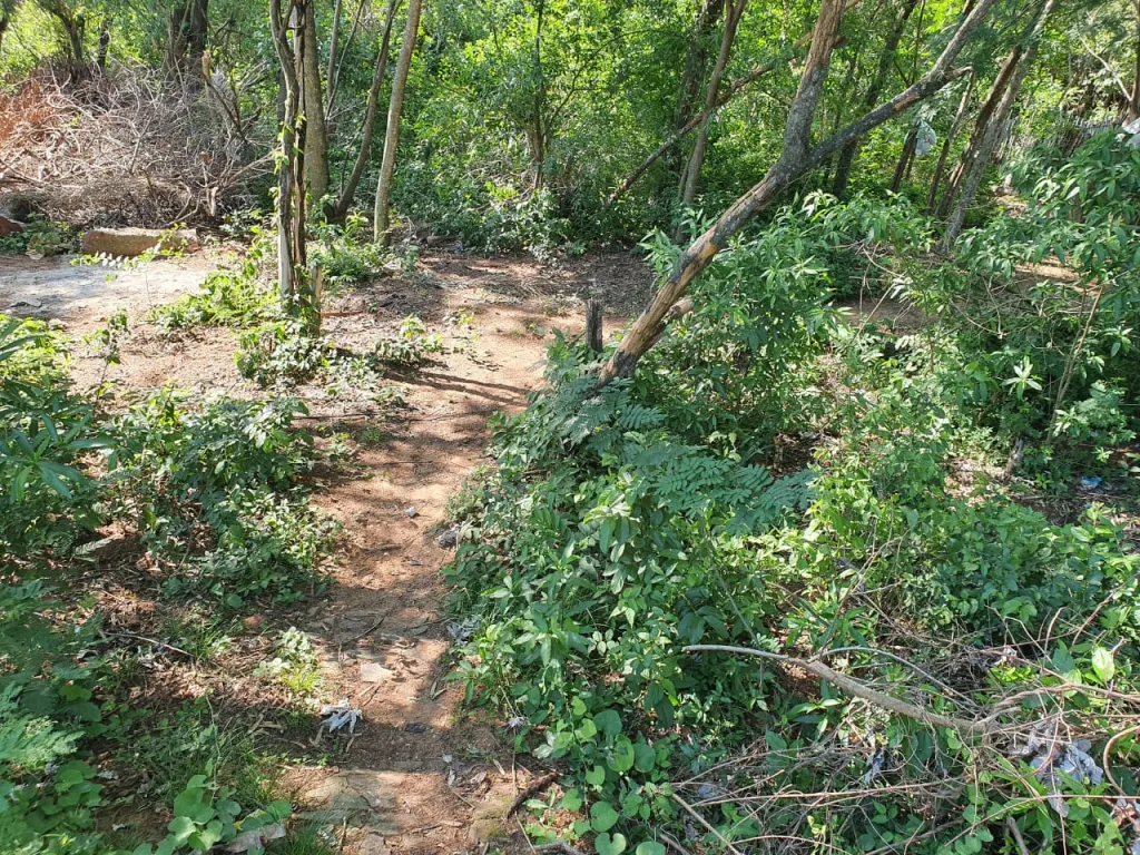 VENDO TERRENO DE 450 M2 SRUTA SANBER-PIRAYUI — foto 3
