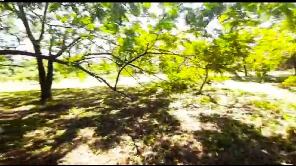 Vendo Importante Terreno en Villa Elisa — foto 2