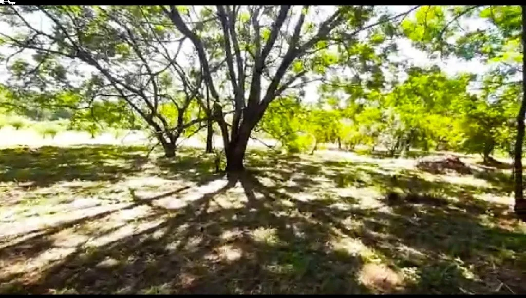 Vendo Importante Terreno en Villa Elisa — foto 3