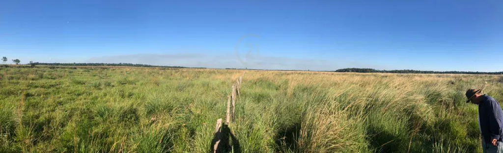 Estancia La Lomita - Paraguarí - 1475 hectáreas. — foto 3