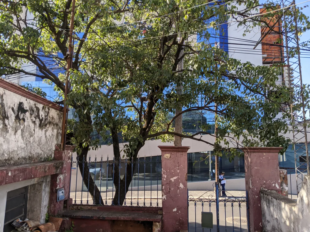 Amplio terreno en Venta sobre Azara — foto 3