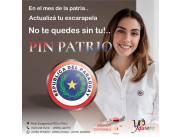Pines Patrios | Escarapela Actualizada para nuestro Paraguay
