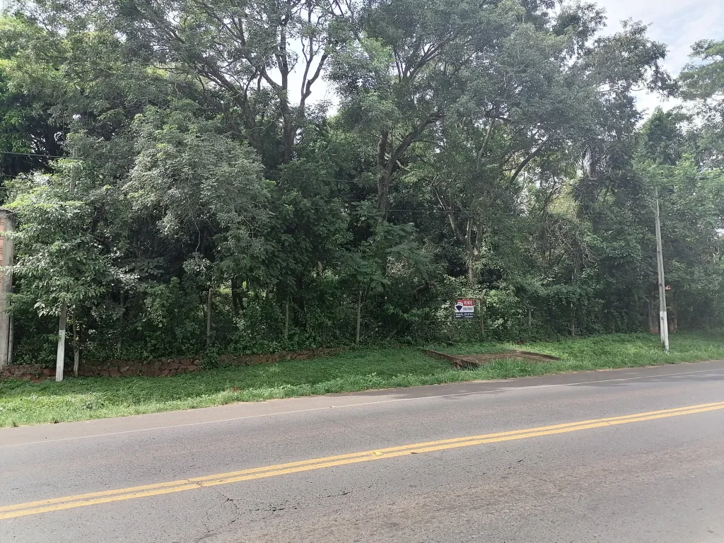 VENDO TERRENO de 1.356 M² SOBRE RUTA 1 EN YAGUARON KM.45 12‼️📢 — foto 3