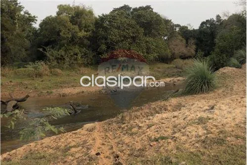 En venta terreno de 101 hectáreas en San José — foto 2