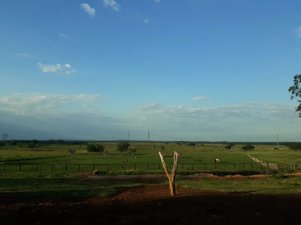 VENDO ESTANCIA DE 2.100 HECTAREAS EN TOBATI SOBRE RUTA ASFALTADA — foto 2
