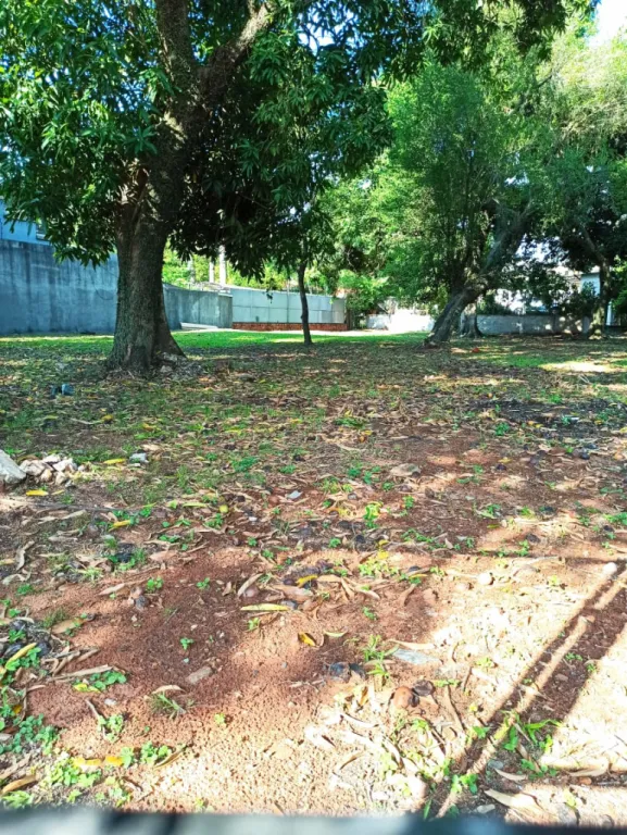 Vendo Terreno sobre Paseo del Yacht — foto 2