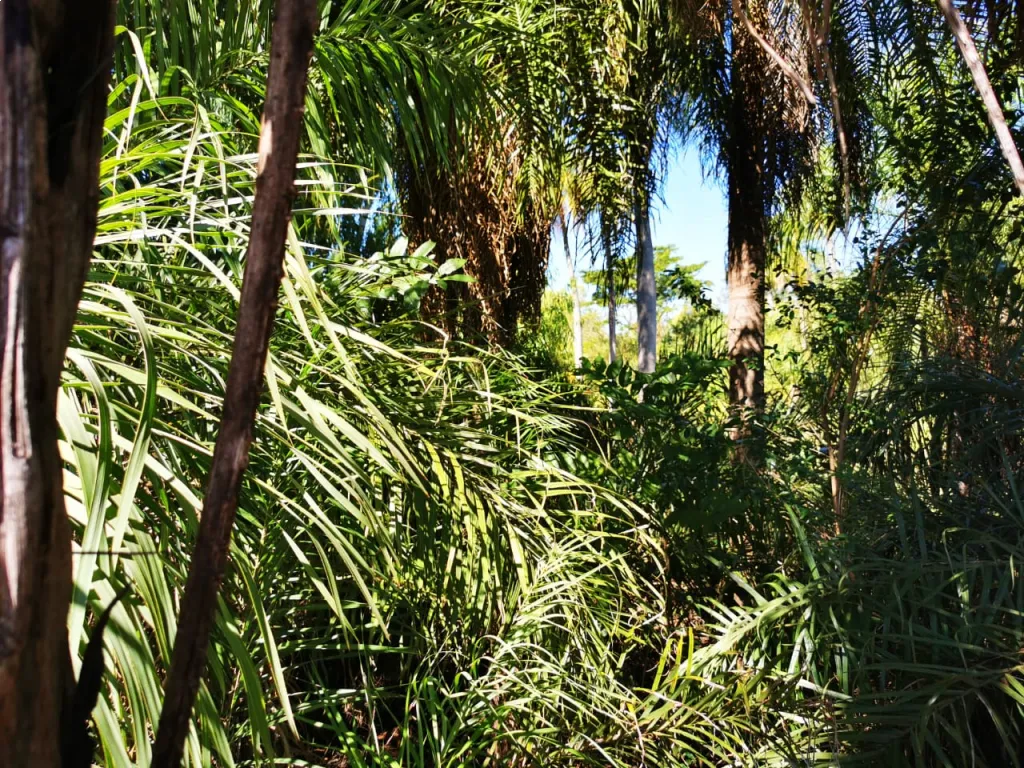Vendo Terreno — foto 2