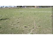 Terreno villa Elisa
