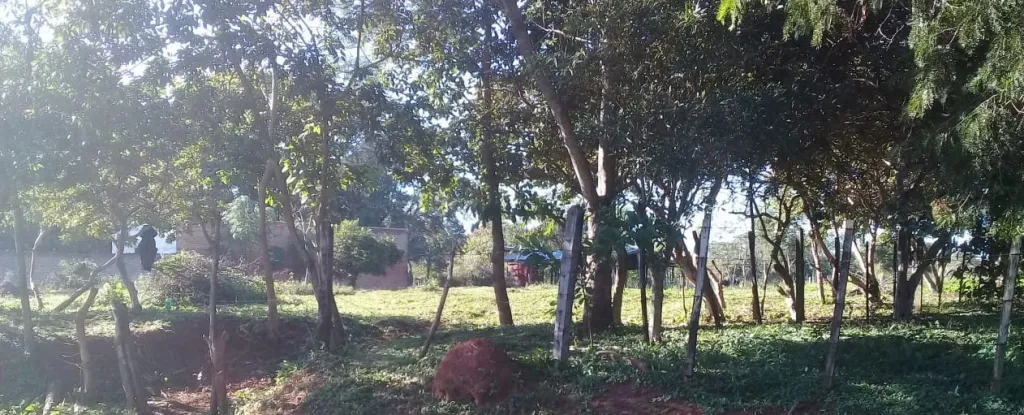 EN SANTA ROSA, MISIONES VENDO!! — foto 3