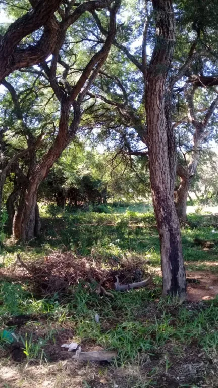 Vendo este terreno — foto 2
