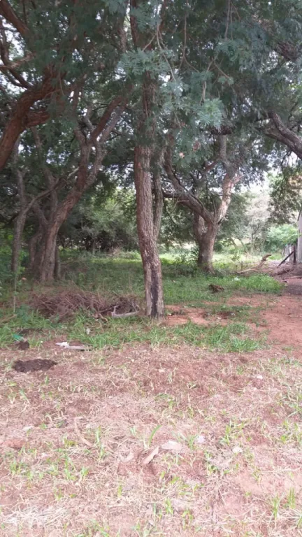 Vendo este terreno — foto 3