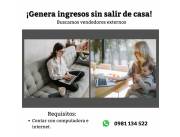 Busco Vendedor externo a comision