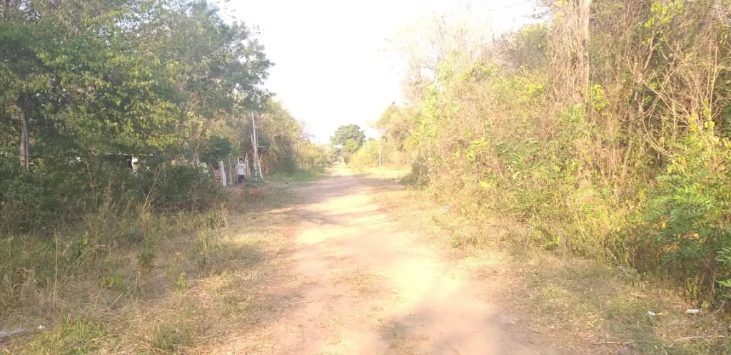 Vendo 5 terrenos — foto 3