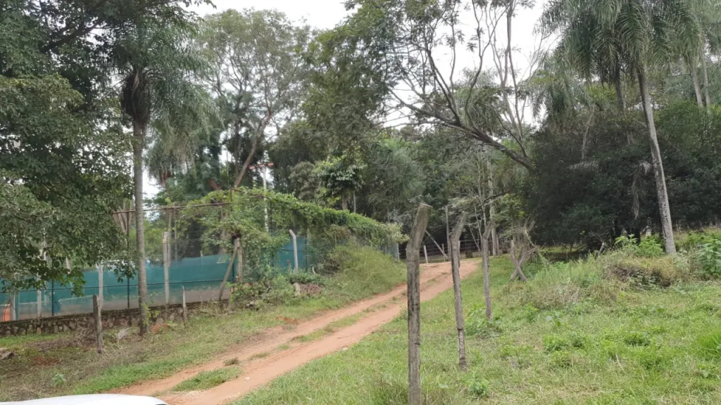VENDO TERRENO EN VENTA - SANBER — foto 3
