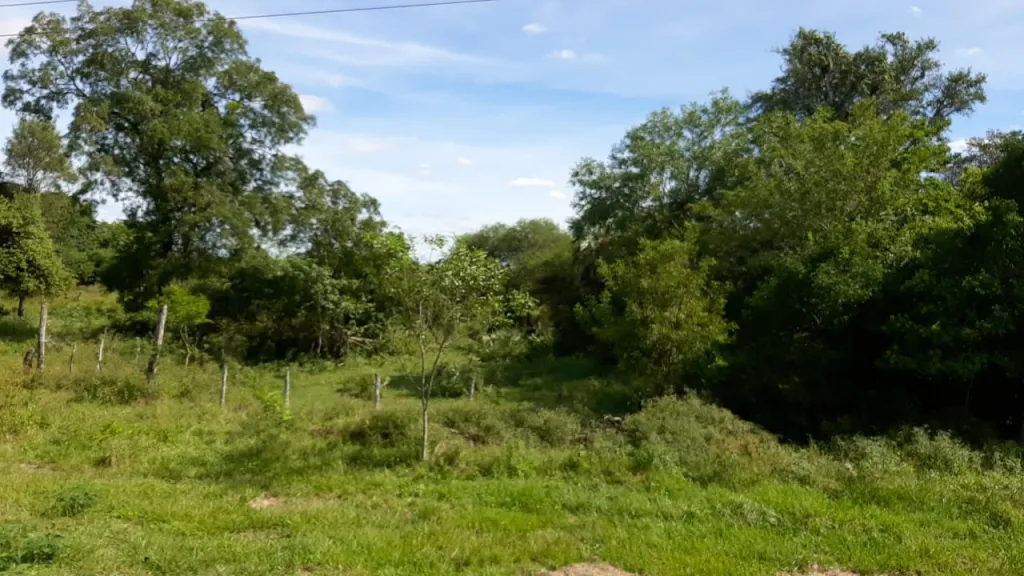 Propiedad para Estancia o puerto — foto 3