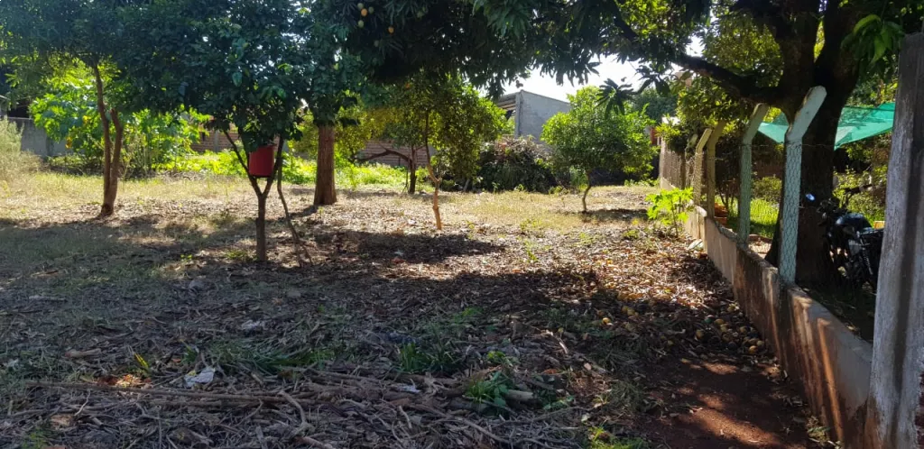 VENDO TERRENO km8 ACARAY - CIUDAD DEL ESTE — foto 2