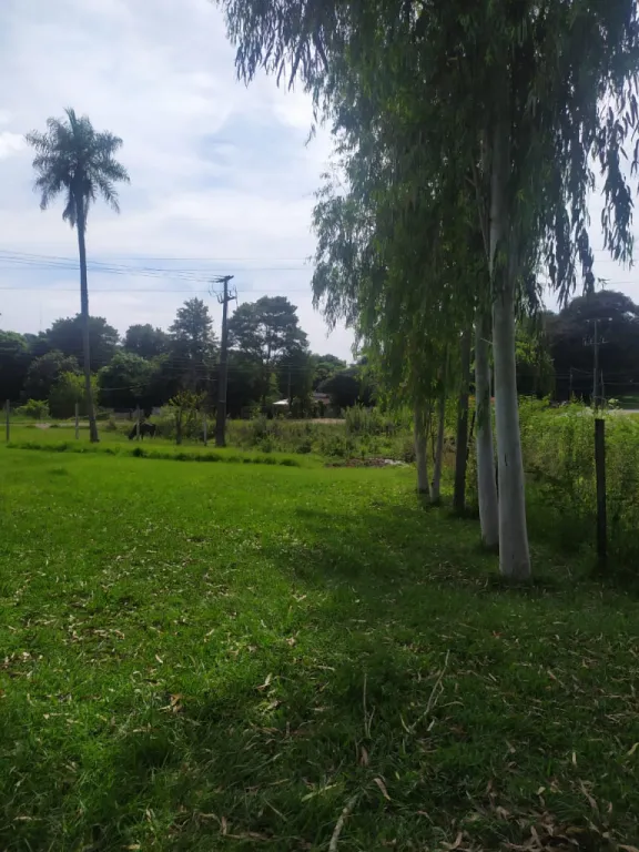 Anuncio 1824410 — foto 3
