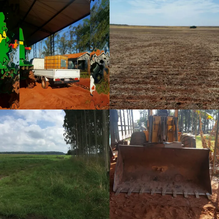 1.408 hectáreas. Alto Paraná. Vendo Estancia a tranquera cerrada. Más 300 animales.!!! — foto 3