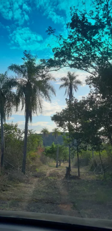 Oferta terrenos en Caacupe — foto 2