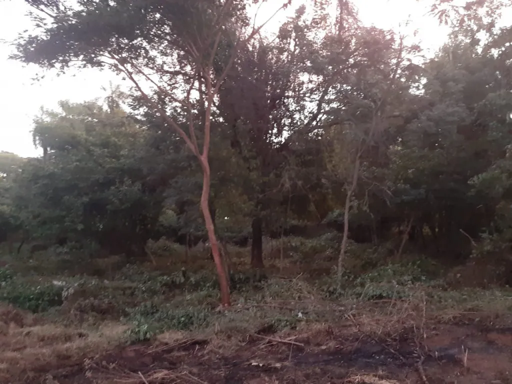 Oferta terrenos en Caacupe — foto 3