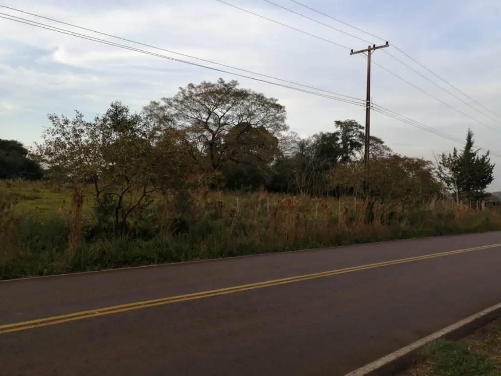 VENDO CAMPO DE 80 HAS - SAN PEDRO DEL PARANA — foto 2
