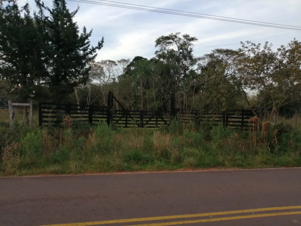 VENDO CAMPO DE 80 HAS - SAN PEDRO DEL PARANA — foto 3