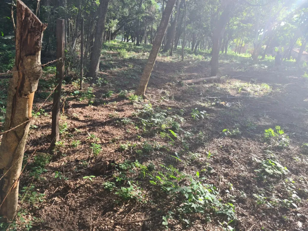 Vendo Terreno en San Bernardino — foto 2