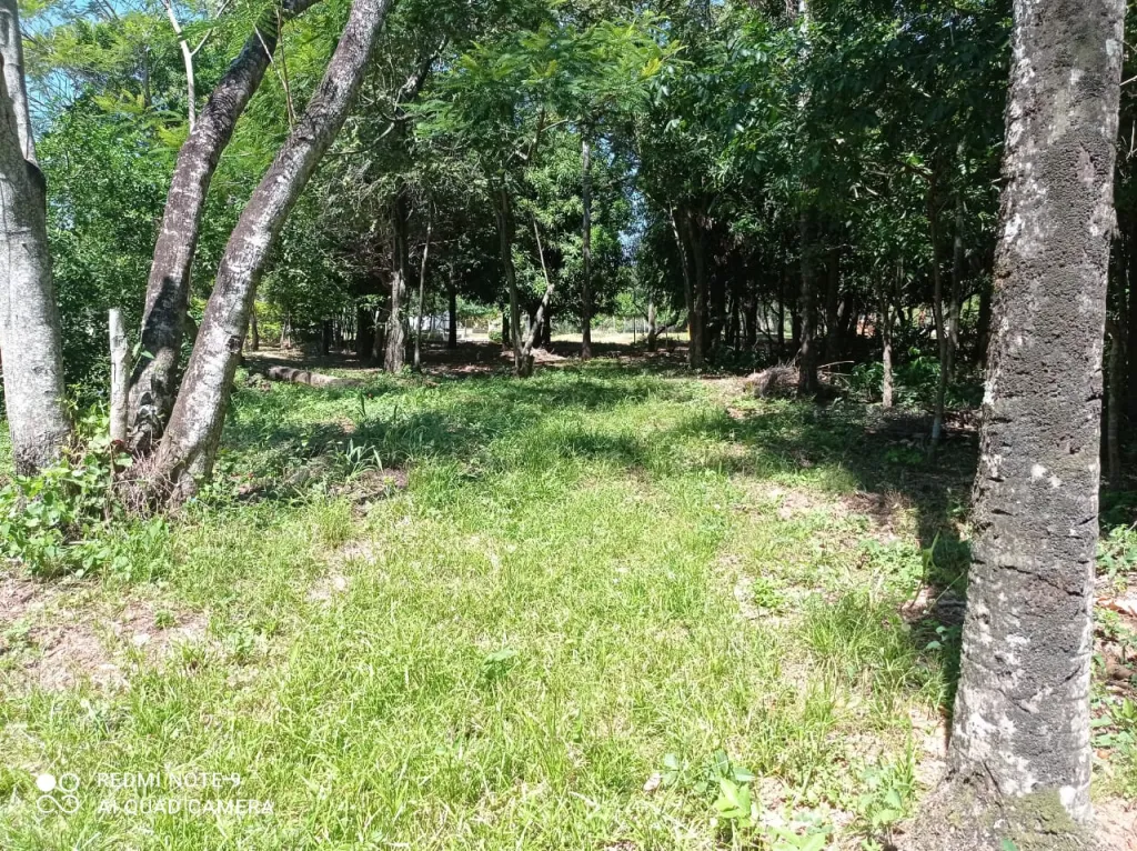 Vendo loteamientos — foto 2