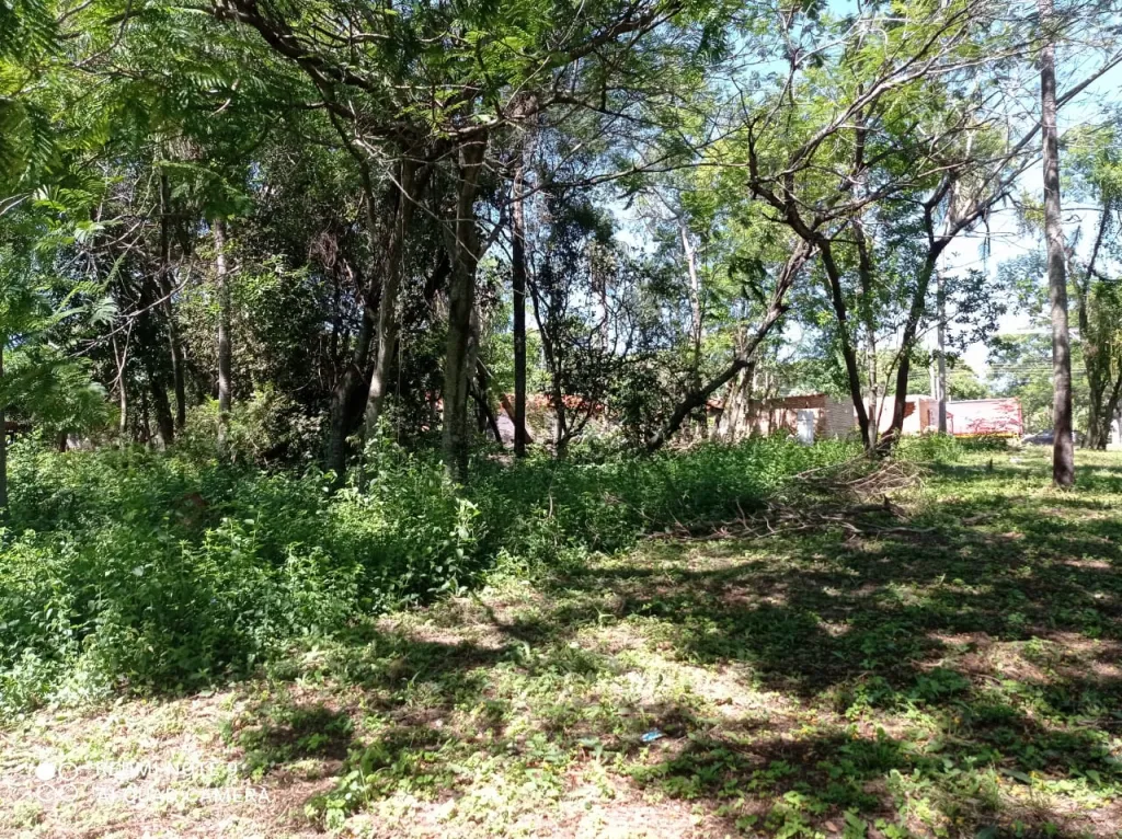 Vendo 2 terrenos juntos — foto 2