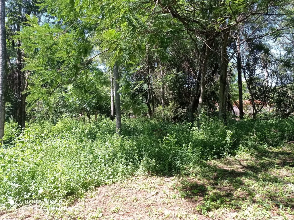 Vendo 2 terrenos juntos — foto 3